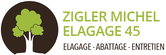 Zigler Michel elagage 45